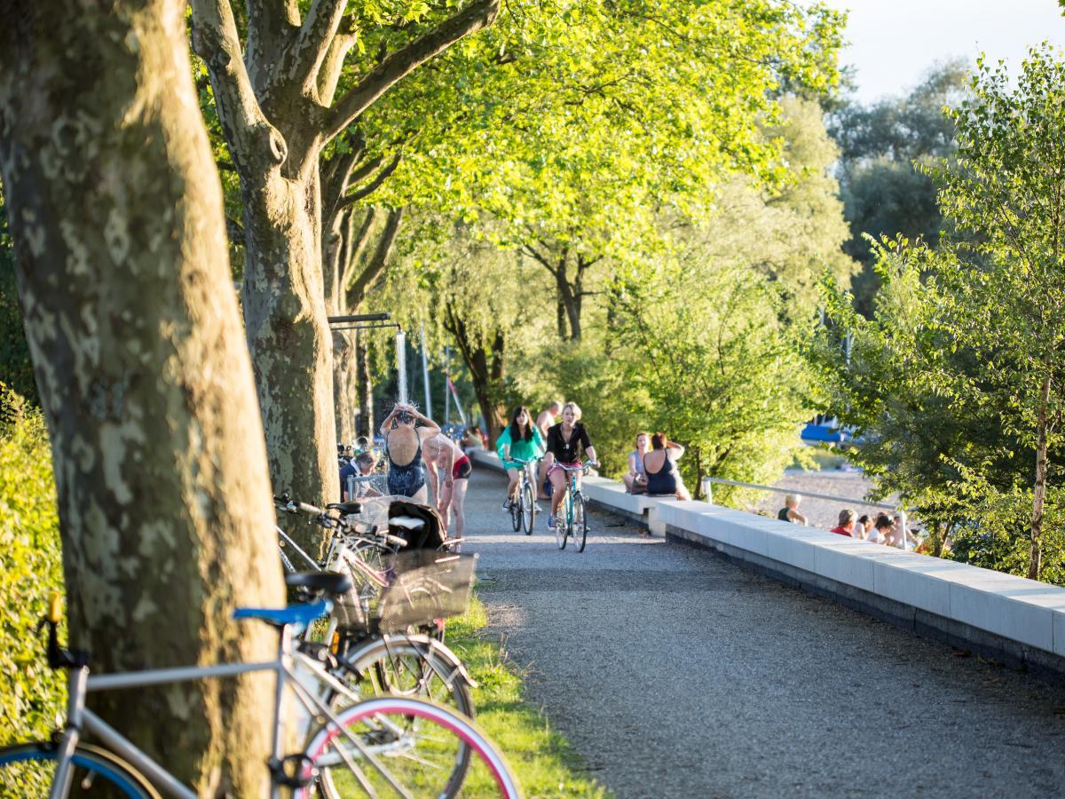 Fahrradfahren am Bodensee